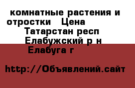 комнатные растения и отростки › Цена ­ 30-100 - Татарстан респ., Елабужский р-н, Елабуга г.  »    